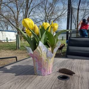 Meet your Posher, Heather